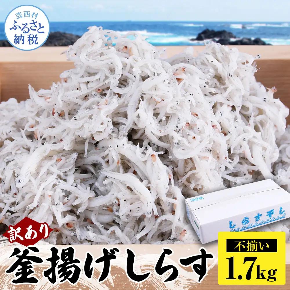 訳あり 釜揚げシラス 1.7kg 高知県産 【しらす】