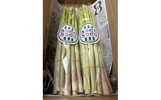 ＜2026年4月～順次発送予定＞新鮮朝採れアスパラガス 1kg【1667758】
