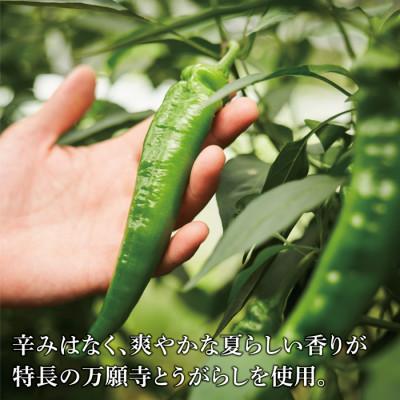 ふるさと納税 福知山市 〈ANA推奨〉 万願寺とうがらし味噌 |  | 02