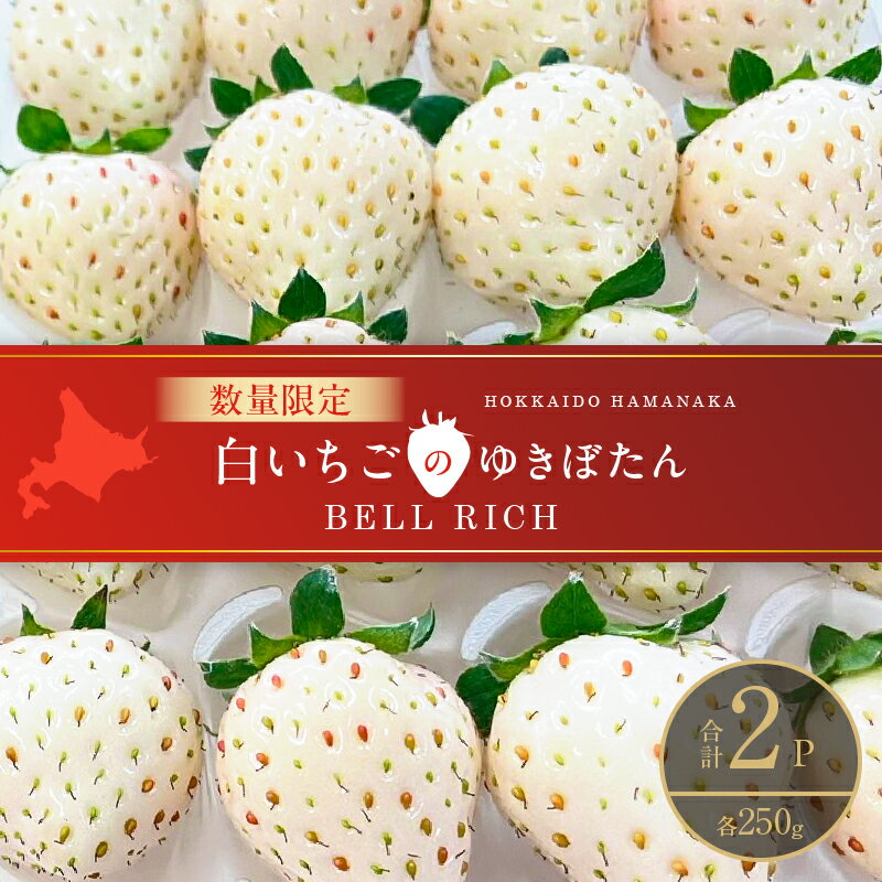 【ふるさと納税】《数量限定》 白いちご ”ゆきぼたん” 計2パック BELL RICH 幻のいちご 桃のような味わい 高糖度 スイーツ フルーツ ギフト 贈答用 プレゼント 期間限定 希少 甘い 果物 お取り寄せ デザート グルメ 人気 おすすめ 北海道 浜中町 送料無料