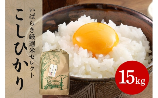 筑波山麓産米を中心に厳選した【茨城県産こしひかり】令和7年産白米15kg B07-016