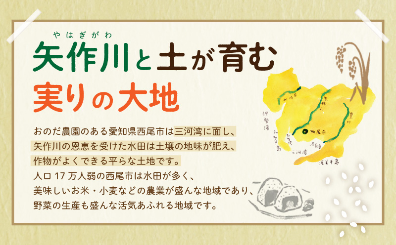 【令和7年産】おのださんちのハッピー米(コシヒカリ)白米5kg×2・O017-27