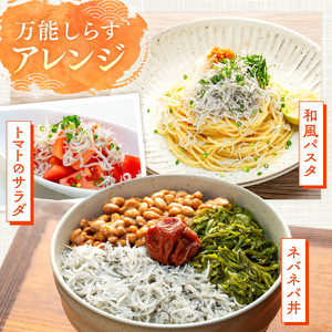 日間賀島 釜揚げしらす 1kg 【しらすしらす】