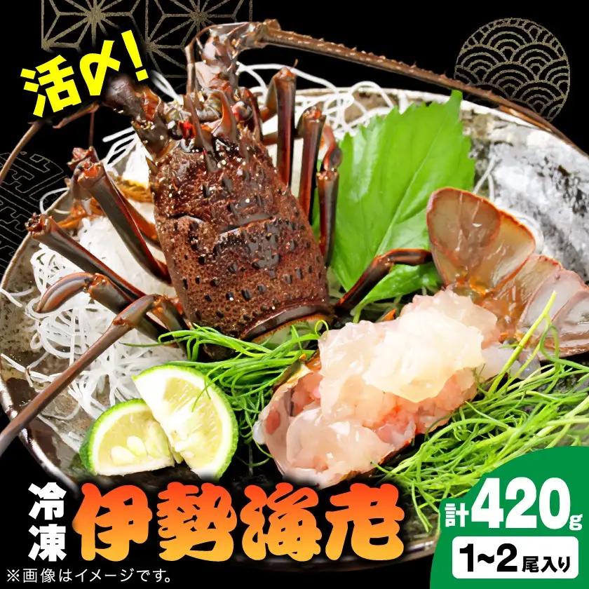 刺身用活〆冷凍伊勢海老420g【配送不可地域：離島】【1607614】