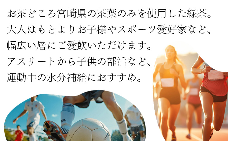 ＜バイオ茶スポーツ ペットボトル 48本＞本数 有機緑茶 お茶 茶葉 tea 緑茶 製茶 お手軽 スポドリ スポーツ飲料 スポーツドリンク 飲料類 水分補給 国産 宮崎県産 九州産 スポーツ アウトド