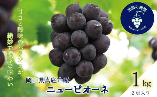 【2025年先行予約】ぶどう 岡山 花笑み農園『ニューピオーネ』1kg（2房） hana14 贈答用 岡山 真庭 ピオーネ 高級 1kg 贈答 2025 真庭市 大粒 葡萄 果物 フルーツ 濃厚ピオーネ 人気 数量限定 2025年9月上旬～ 受付順に発送予定