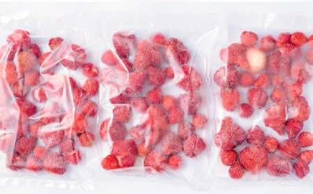 福岡県産 冷凍あまおう500g×3 合計1.5kg いちご 苺 フルーツ 国産【2026年4月上旬より順次発送予定】