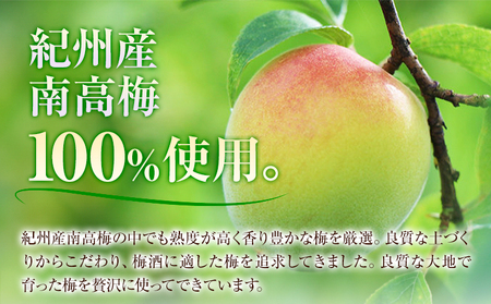 THECHOYA CRAFTFRUIT 700ml×2本 羽曳野商工振興株式会社《30日以内に出荷予定(土日祝除く)》｜梅酒チョーヤ梅酒チョーヤ梅酒チョーヤ梅酒チョーヤ梅酒チョーヤ梅酒チョーヤ梅酒チョ