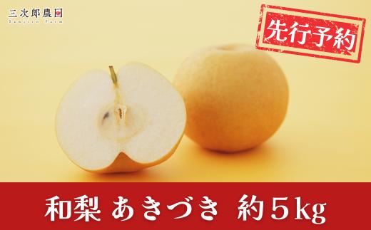 先行予約 和梨 あきづき 約5kg 令和8年度 新潟県三条市産 [三次郎農園] 【015S204】