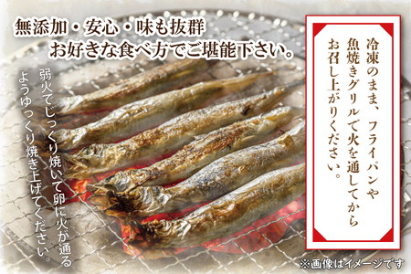 ししゃも雄雌食べ比べ ４ｋｇ セット 訳アリ シシャモ ししゃも カラフトししゃも 大洗 規格外 訳あり わけあり 傷_AV012
