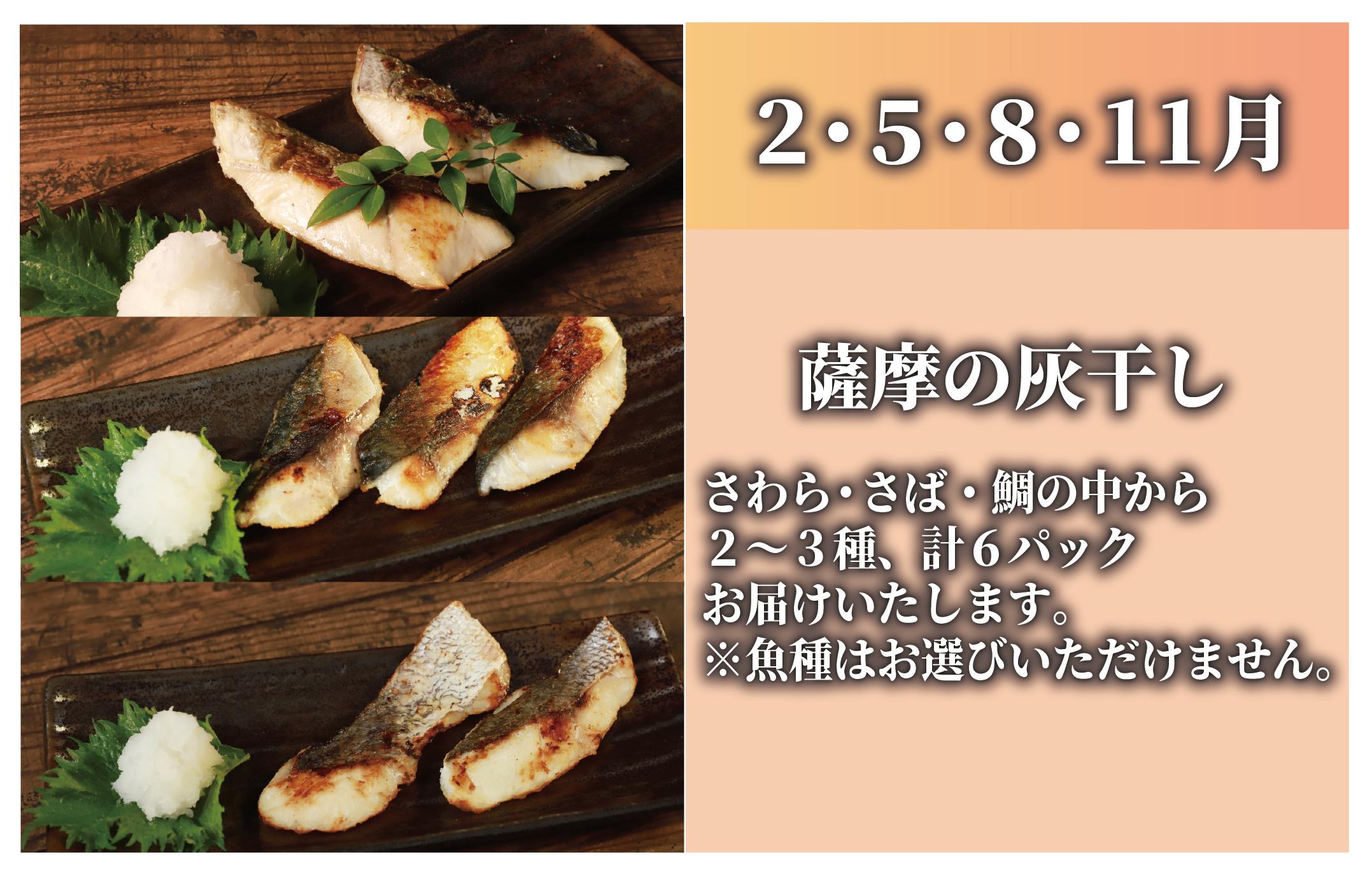 ＜2月・5月・8月･11月にお届け＞桜島火山灰で魚を熟成　旨味が詰まった『薩摩の灰干し』
