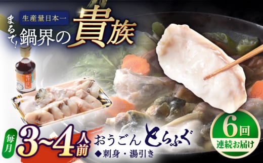 【全6回定期便】活〆おうごんとらふぐ 鍋 セット 約400g 平戸市 / 松永水産 [KAB271]おうごんとらふぐ 鍋 通販 お取り寄せ 長崎 ふぐちり てっちり 高級魚 海鮮 グルメ ギフト