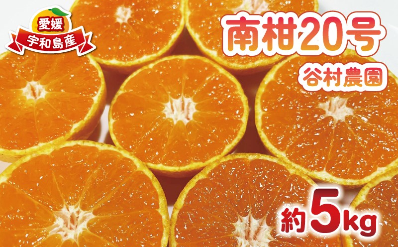 
                  温州みかん 南柑20号 みかん 5kg 谷村農園 温州 愛媛みかん 愛媛蜜柑 愛媛ミカン うんしゅう ミカン 蜜柑 mikan 果物 フルーツ 柑橘 甘い 甘味 産地直送 農家直送 数量限定 国産 愛媛 宇和島 B016-201002
                