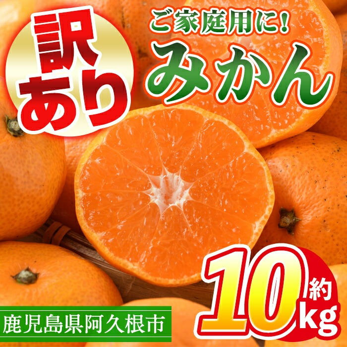 ＜先行予約受付中！2025年10月中旬以降順次発送予定＞訳あり！鹿児島県産みかん(計約10kg) 大容量 傷あり 不揃い 国産 柑橘 果物 くだもの フルーツ 旬 期間限定 数量限定 訳アリ 規格外 ご家庭用 ご自宅用 ミカン ノーワックス【三笠農業生産】a-14-67-z