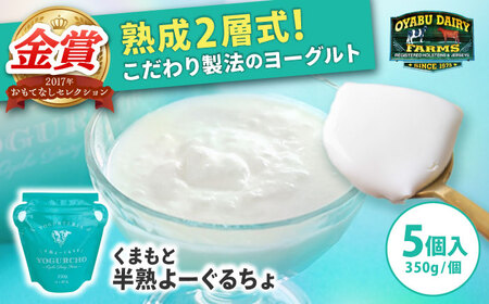 オオヤブデイリーファーム くまもと半熟よーぐるちょ 350g×5個セット【株式会社 オオヤブデイリーファーム】[AYAE004]