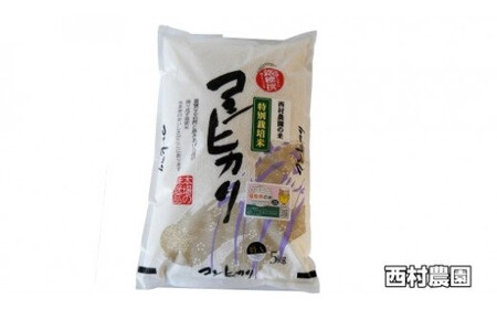 米 定期便 コシヒカリ 60kg ( 5kg × 12ヶ月 ) 《 令和7年 》 福島県 大玉村 西村農園  ｜ こしひかり 精米 定期 12回 コメ こしひかり 福島 米 定期便 コシヒカリ 福島 