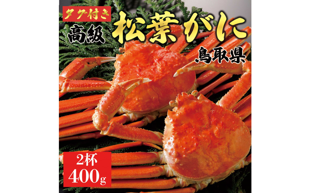 【2025年12月～2026年1月発送】特撰 松葉がに（茹）【ブランドタグ付き】400g超のサイズ  2杯