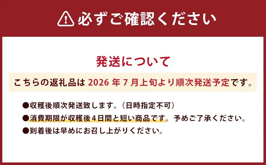 【2026年7月上旬-下旬発送予定】 竹田市産 とうもろこし 10本