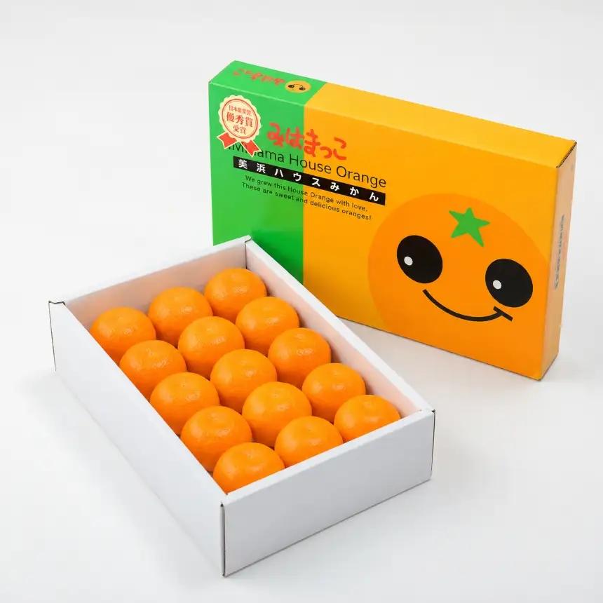 みはまっこ（S玉/15個） 平詰化粧箱 | みかん 季節限定 先行予約 愛知県 美浜町