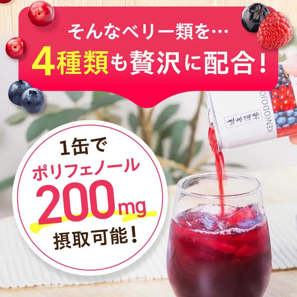 健康道場 4つのベリーの恵み 160g×30本[AOAD052]健康飲料