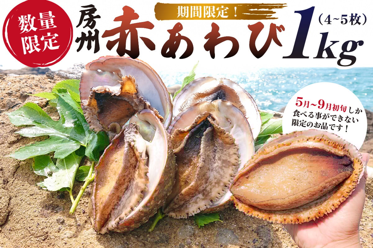 
            【期間限定・数量限定】房州赤あわび 1kg（4～5枚）mi0020-0006 【 特産品 赤あわび アワビ 海鮮 貝 海の幸 限定 】
          