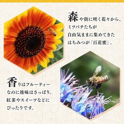 ふるさと納税 交野市 ほしだの森のはちみつ 200g　 倒立型 蜜切れ抜群ボトル |  | 02