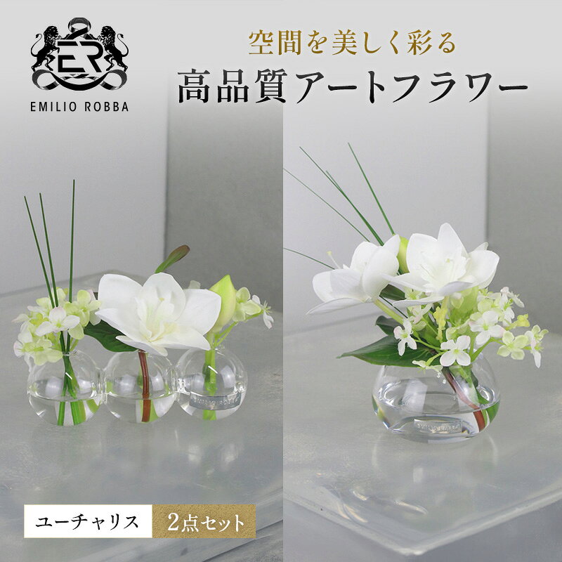 【ふるさと納税】エミリオロバ　ユーチャリス2点セット　ユーチャリス3W24、S242点セット
