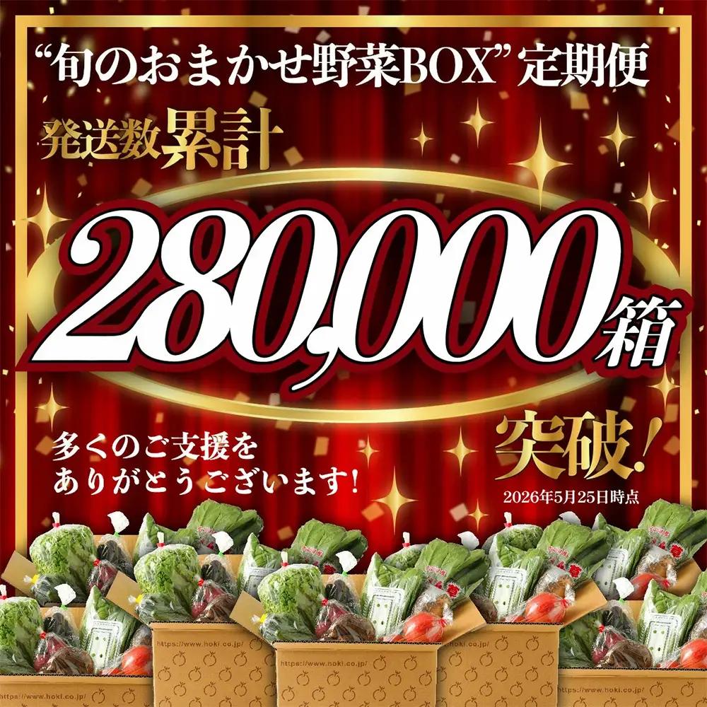  【６ヶ月定期便】旬のおまかせ 野菜BOX 野菜定期便 旬の野菜 詰合せ 野菜 新鮮 野菜 8～10品目E-72