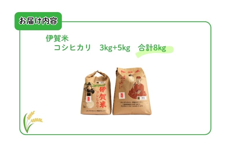 令和7年産 伊賀米コシヒカリ 8kg（3kg＋5kg）【jaig0001】