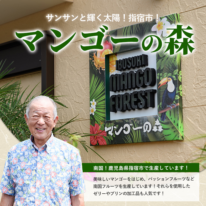 【2026年 発送】しあわせ完熟マンゴー3〜6玉入り(マンゴーの森/044-1768) マンゴー フルーツ 果物 旬 夏 指宿 いぶすき 鹿児島  完熟  お供え 御供 ギフト 贈り物 プレゼント グ