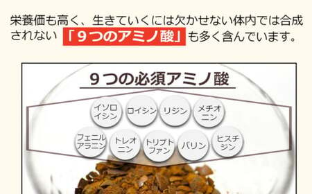 ムクナ豆 焙煎茶 60g×4パック 合計80包 ムクナ豆茶 ムクナ豆 お茶 茶 ティーパック