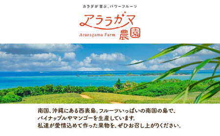 リピート率No.1！パイナップル4種類＆マンゴー＆生ジュースを5回にわけて毎月お届け！