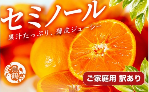 
                  【ご家庭用訳あり】ジューシー柑橘　セミノールオレンジ　5kg【5月上旬～5月下旬に順次発送予定】【uot870】
                