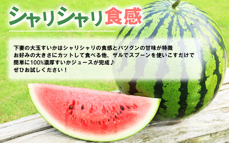 12-24茨城県産大玉すいか2玉セット（約5～7kg/玉）【2024年6月上旬～7月上旬ごろ発送予定】