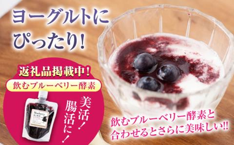 【2025年8月中旬より順次発送】【先行予約】冷凍ブルーベリー 計1.2kg ( 400g × 3パック ) 熊本県産ブルーベリー 山都町産 フルーツ スムージー 果物 小分け 国産【清和の恵み工房】