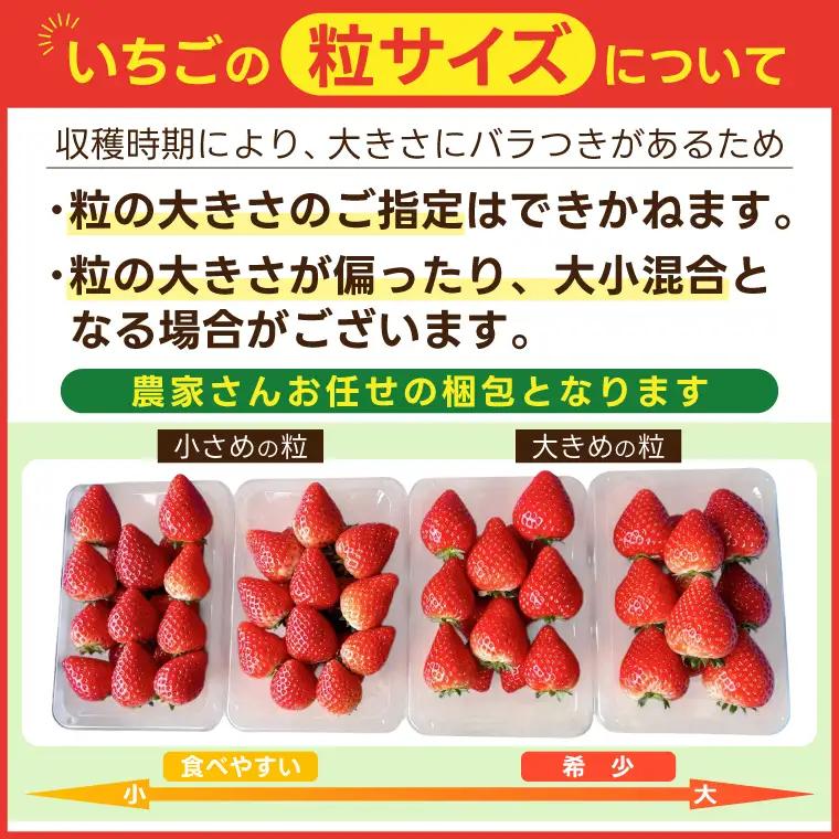 【先行予約】栃木県産 とちあいか 合計1,000g (250g以上×4パック) 【栃木県共通返礼品/高根沢町産】(DW001)