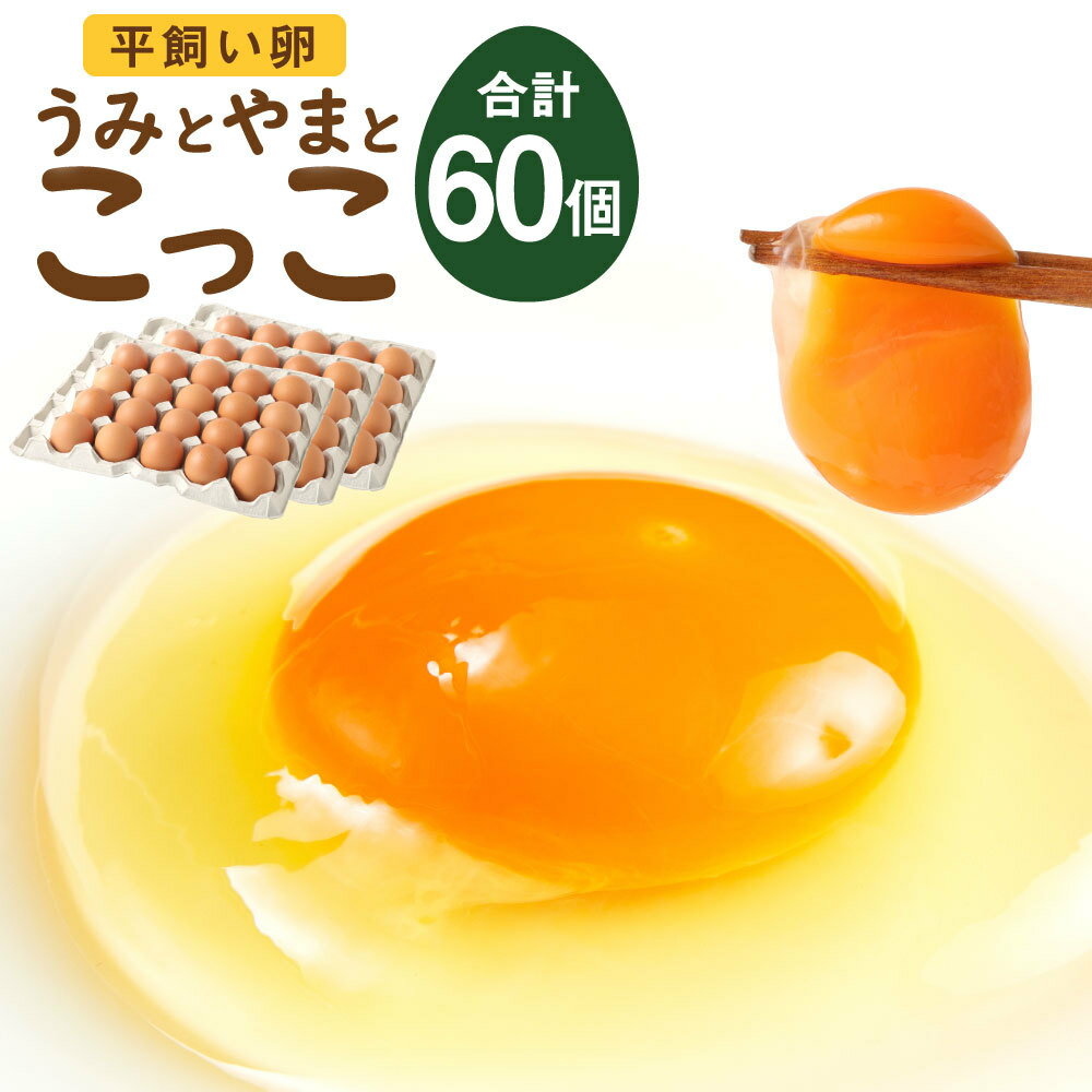 【ふるさと納税】＼初卵／平飼い卵「うみとやまとこっこ」 S・Mサイズ混合 上田養鶏場 生産者直送 | ふるさと納税 卵 平飼い たまご タマゴ 玉子 鶏卵 希少 ふるさと 産地直送 佐賀県 鹿島市 送料無料