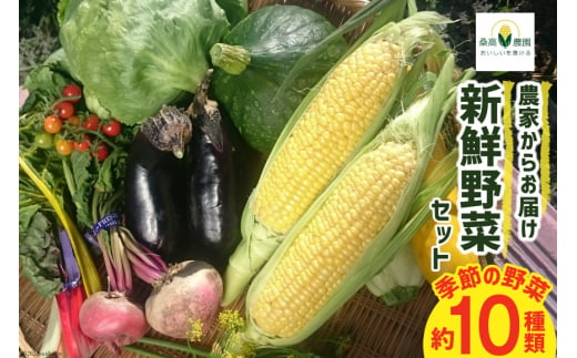 
農家からお届け 新鮮野菜セット [桑高農園 静岡県 吉田町 22424127]
