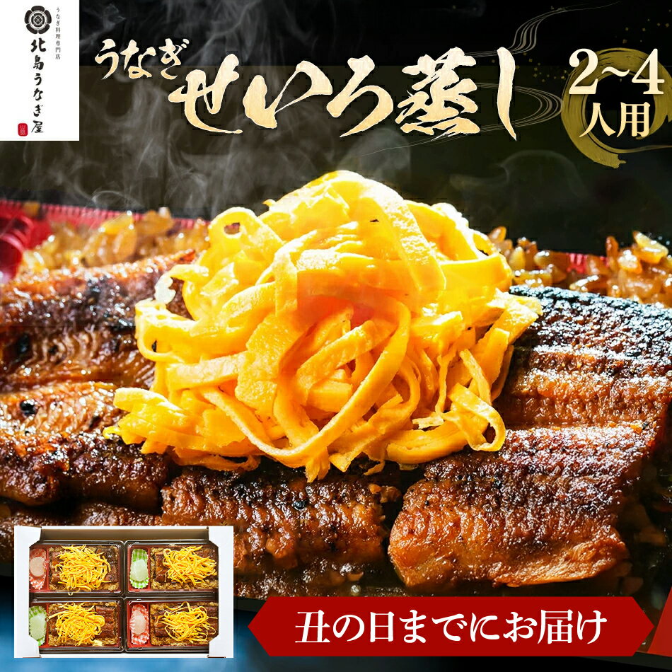 【ふるさと納税】【丑の日までにお届け!容量が選べる】うなぎ 北島うなぎ屋 せいろ蒸し 九州産 うなぎのせいろ蒸し うなぎ せいろむし 2人前〜4人前 福岡県柳川発祥 鰻 蒲焼 せいろ蒸し 九州産米 おすすめ 福岡県 大木町 年末年始グルメ 父の日ギフト 土用の丑の日 父の日