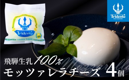 モッツァレラチーズ （1個125g）４個 セット　チーズ モッツァレラ 冷蔵  個包装 カプレーゼ パスタ ピザ  前菜 サラダ 新鮮 生乳 国産 低温殺菌 乳製品 無添加 飛騨高山 トリデンテ リア