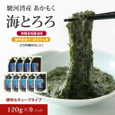 【ふるさと納税】駿河湾産 味付 あかもく 海とろろ【醤油味×すっぱみかん味】おすすめセット 120g×9パック 無添加 アカモク 静岡県静岡市 ギバサ 海藻 冷凍 小分け 海鮮 海産物　【 国産 湯通し 刻み 味噌汁 お好み焼き 卵焼き チューブ 】