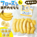 【ふるさと納税】果物 フローズン 瀬戸内ばなな 皮ごと 食べれる 瀬戸内 ばなな 5袋 100g ×5 株式会社プランター バナナ 《30日以内に出荷予定(土日祝除く)》 青果物 冷凍バナナ フルーツ お菓子