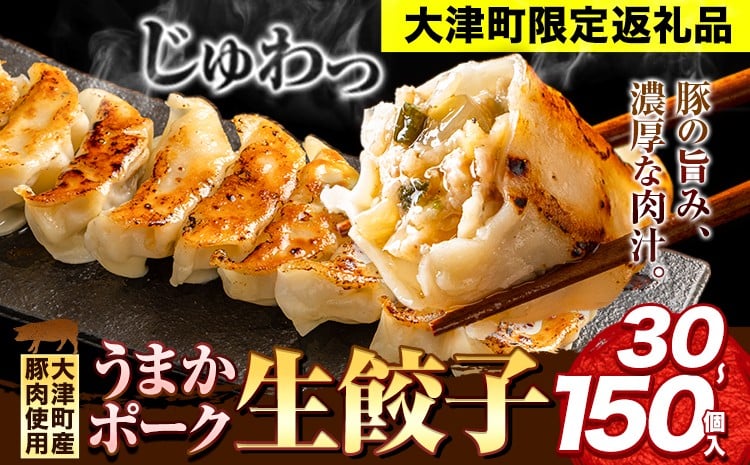 
            餃子 うまかポーク生餃子 150個 タレ付き 大津町限定返礼品 冷凍餃子 ギョウザ 大津町産豚肉使用 九州産キャベツ使用（大津町産含む）皮モチモチ 肉汁溢れる ぎょうざ 30個 60個 90個 （30個×1袋）《30日以内に出荷予定(土日祝除く)》
          