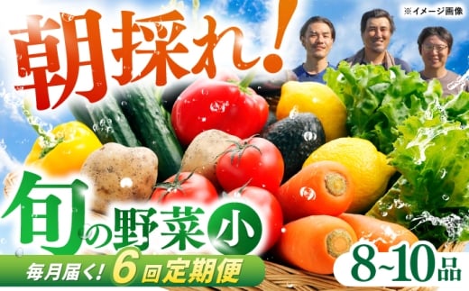 【6回定期便】 土佐の太陽をいっぱいに浴びた旬の野菜セット小 / 野菜 やさい 定期便 6回 セット 詰め合わせ 朝採れ 新鮮 旬 無農薬 レシピ 冷蔵 高知 土佐 【土佐野菜】 [ATBA006]