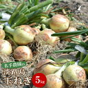 【ふるさと納税】名手農園の淡路島特産玉ねぎ 5kg