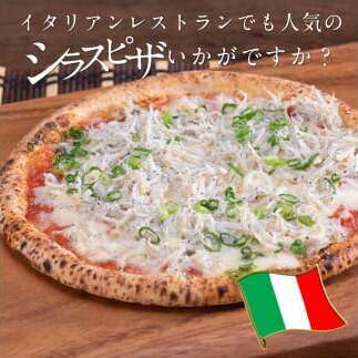 t199mmk　〈12ヶ月定期便〉訳あり 釜揚げシラス 500g×2個 定期便 定期コース 12ヶ月 しらす シラス 釜揚げ 新鮮 塩分控えめ 離乳食 わけあり ワケあり 不揃い しらす丼 海鮮丼 お