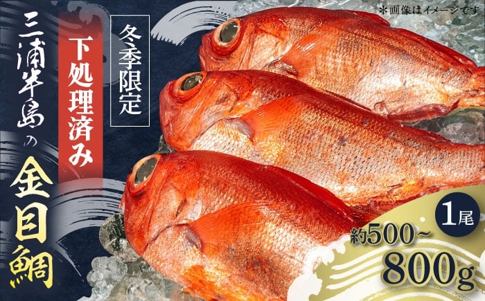 
            【冬季限定】下ごしらえ済 キンメダイ 約500〜800g 鮮魚 処理済み 下処理済み【長井水産株式会社】 [AKAJ029]
          