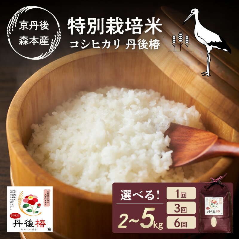 【ふるさと納税】残りわずか＜丹後椿＞先行予約【2kg～】／高評価★5.0 ★ 令和7年産 特別栽培米コシヒカリ 丹後椿（京丹後森本産） 2kg 5kg 定期便 選べる 産地直送 お米 白米 丹後コシヒカリ 京都産 こしひかり ふるさと納税 コシヒカリ 精米 ふるさと納税 こしひかり 精米