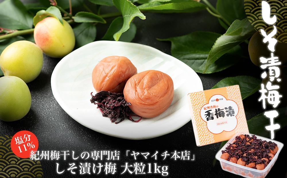 しそ漬け梅　大粒１kg（ポリ容器入り） 304018_D021