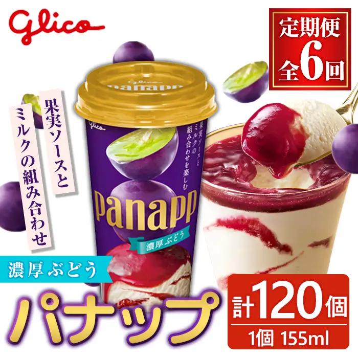 アイス パナップ 計120個 6ヶ月定期便 グリコ 【アイス】【ho1716】